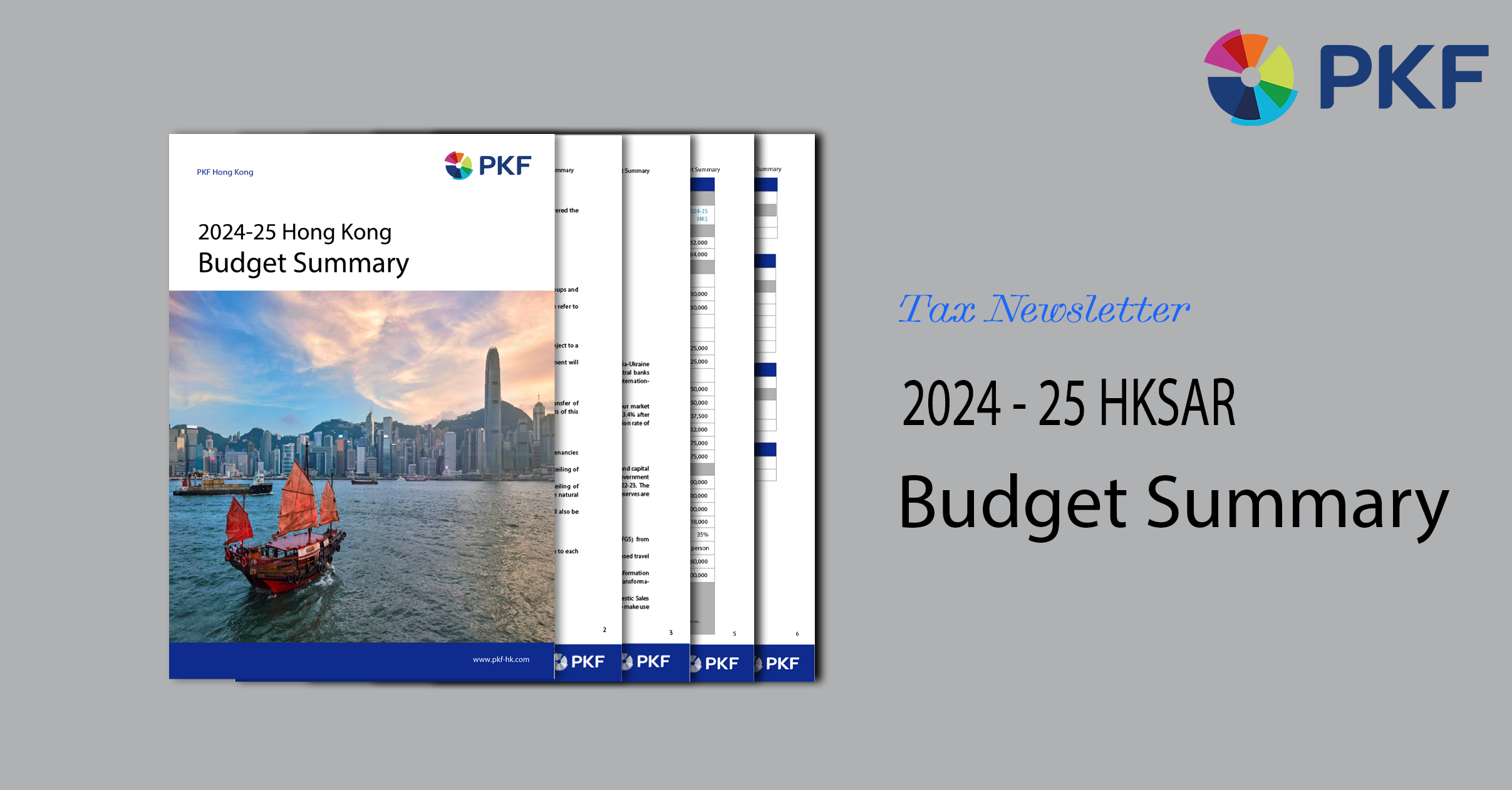 2024-25 Hong Kong Budget Summary